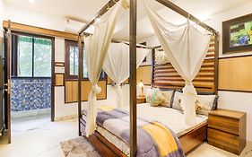 House Of Comfort Delhi